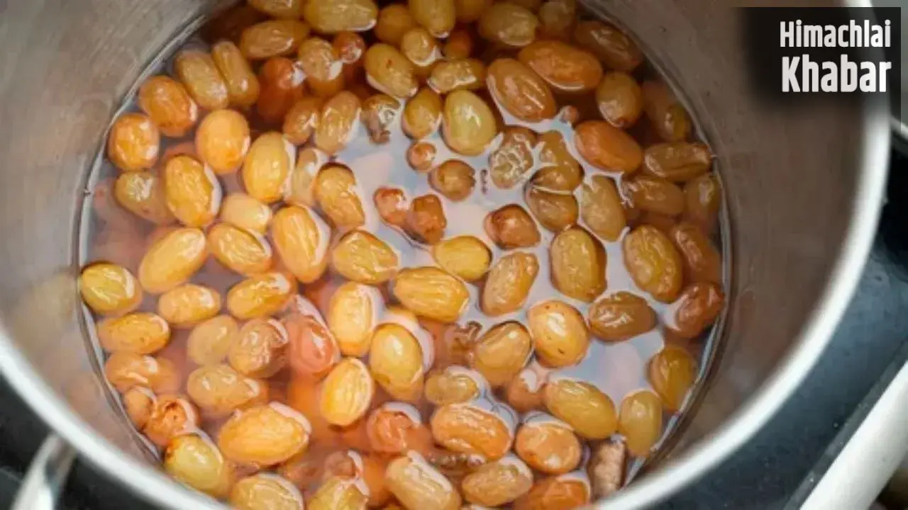 Eating Raisins: रोजाना किशमिश खाने से त्वचा पर आएगा नेचुरल ग्लो, बाल होंगे लंबे-घने; जानें 10 जबरदस्त फायदे