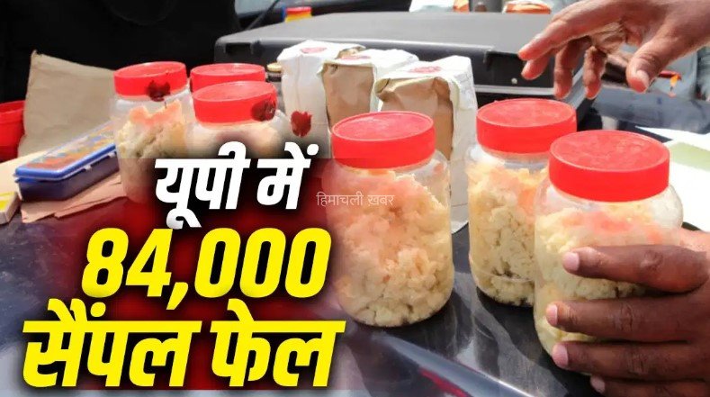 खाने में मिलावट पर बड़ा खुलासा, 5 साल में 1.85 लाख से ज्यादा सैंपल फेल