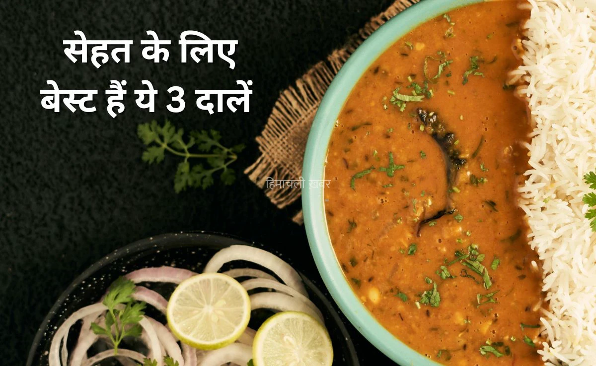 ​​प्रोटीन और कैल्शियम की कमी को दूर कर देंगी ये 3 दालें, AIIMS में काम कर चुके डॉक्टर ने कहा सेहत के लिए बेस्ट हैं ये Lentils