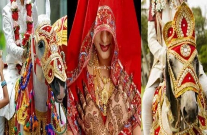 जब 2 दूल्हे पहुँच गए एक साथ … दुल्हन ने एक दूल्हे को पहनाई वरमाला, दूसरे के साथ रचाया ब्याह