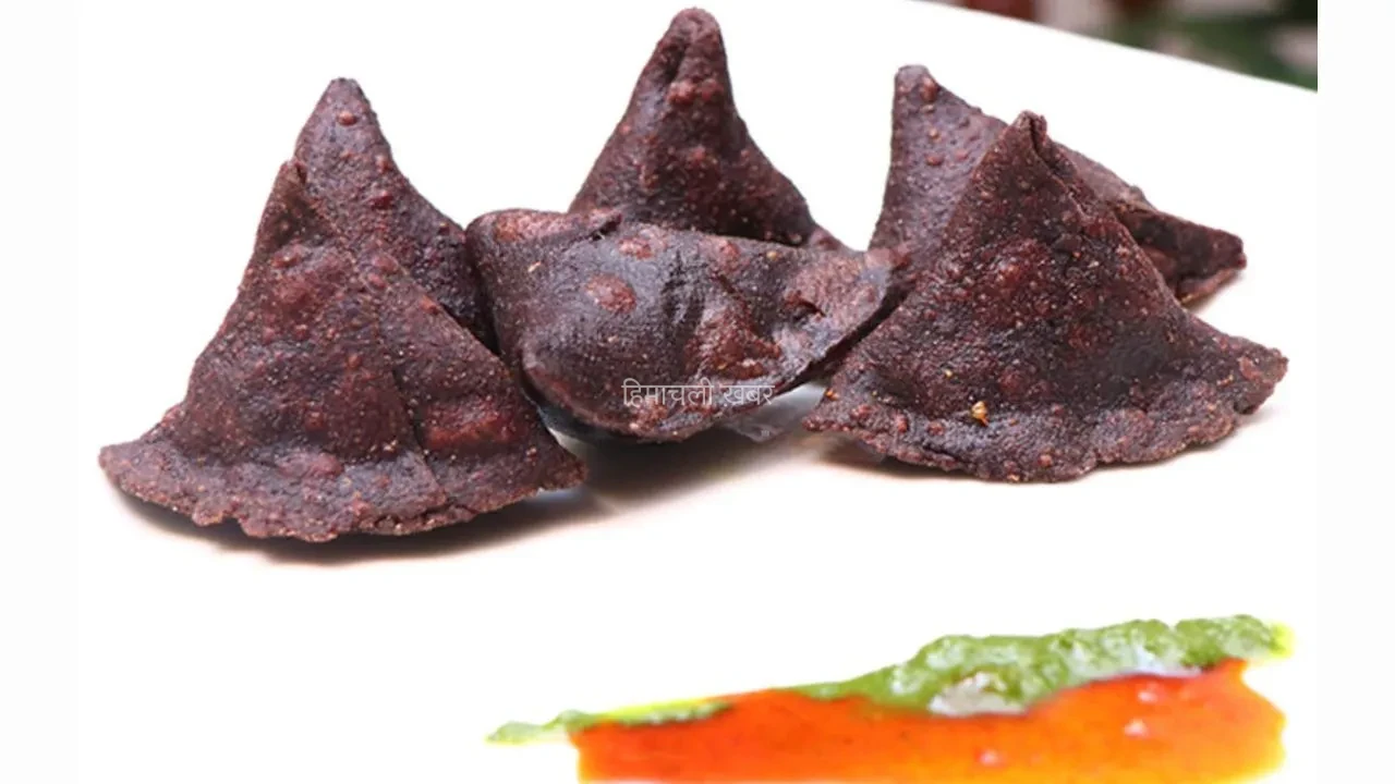No Maida Samosa Recipe: समोसा खाना नहीं छोड़ सकते, तो घर पर बनाएं बिना मैदे का हेल्दी समोसा, नोट करें रेसिपी