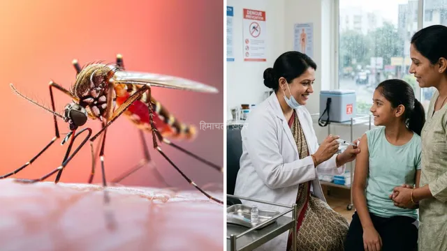 भारत को मिली अपनी पहली Dengue Vaccine, जानिए कीमत, डोज और फायदों से जुड़ी हर जरूरी डिटेल​