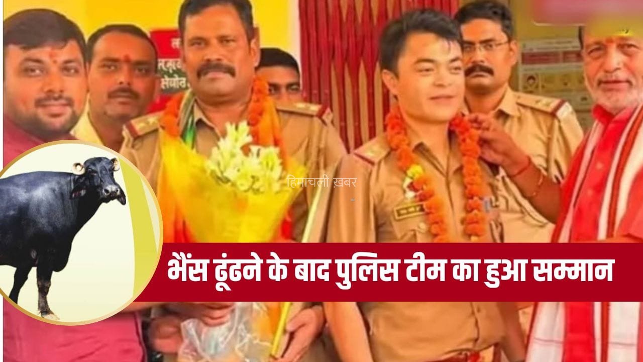 लखनऊ में BJP नेता के भतीजे की भैंस हुई चोरी, 48 घंटे में पुलिस ने ढूंढ निकाली… याद आई 12 साल पुरानी आजम खान वाली कहानी​