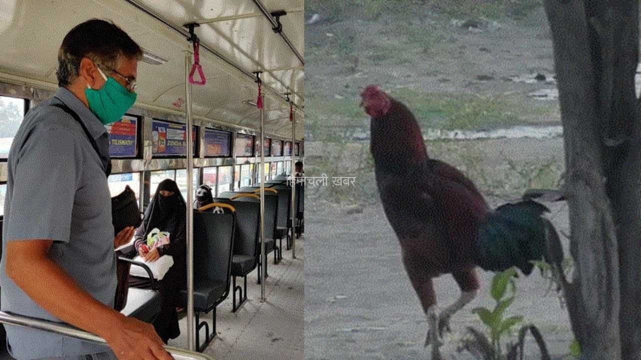 जब बस में सफर कर रहा था मुर्गा, कंडक्टर ने काट दिया 30 रुपए का टिकट, देखें फिर क्या हुआ