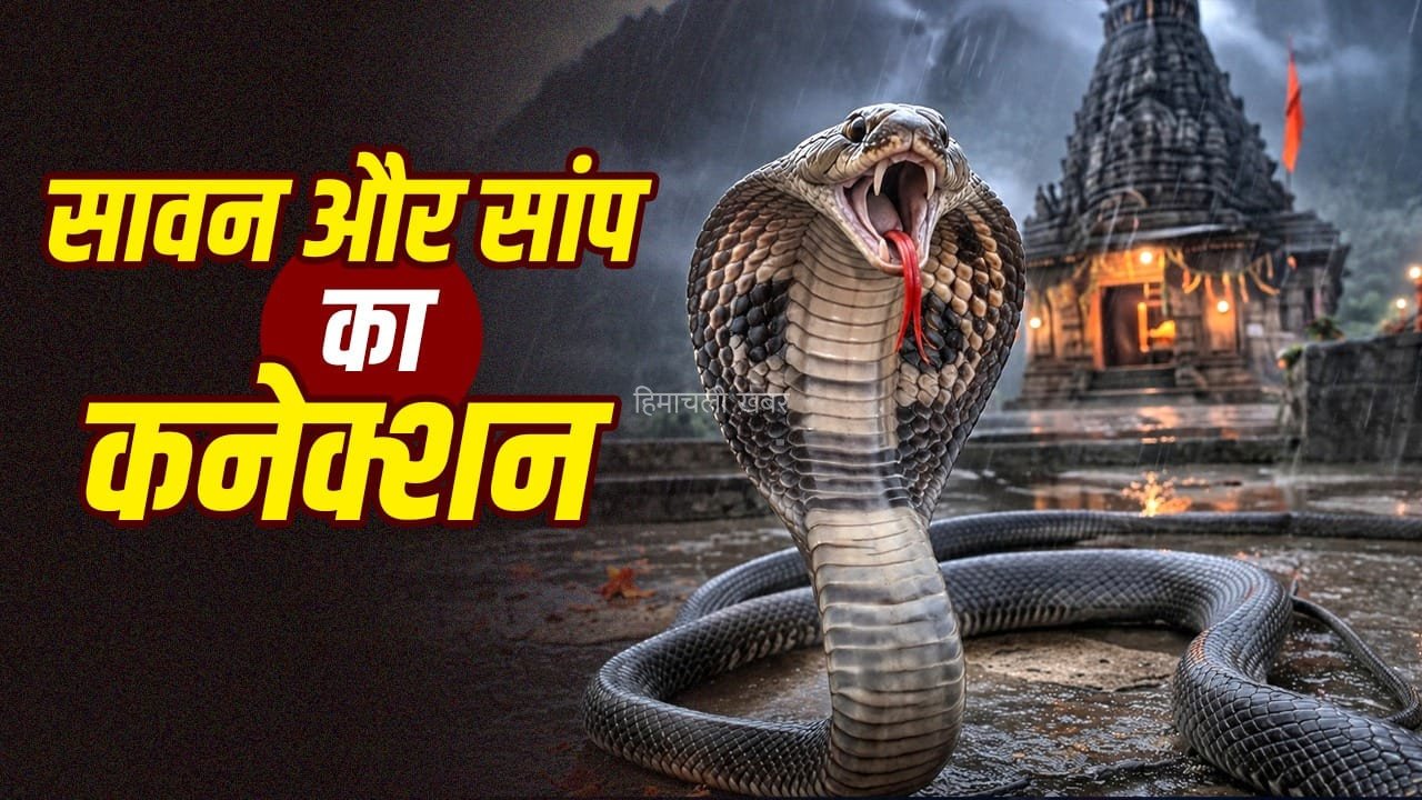 सावन में ही क्यों निकलते हैं ज्यादा सांप, क्या नाग पंचमी से है कनेक्शन?​