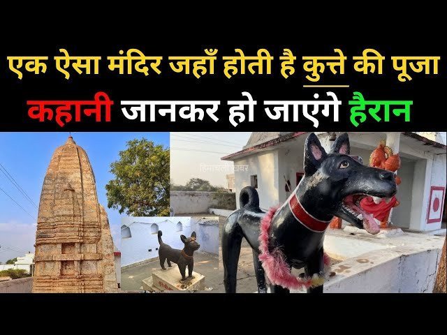 कुकुर देव मंदिर जहां कुत्ते की पूजा की जाती है, जानिए क्या है, इस प्राचीन मंदिर का इतिहास और महत्व​​​