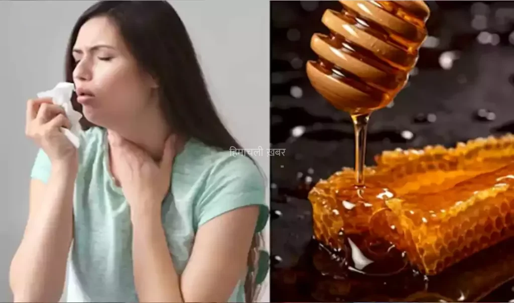 खांस-खांसकर बुरी तरह छिल गया है आपका गला? शहद के साथ इन 3 चीजों को मिलाकर पीने से मिल सकती है चैन की सांस​​​