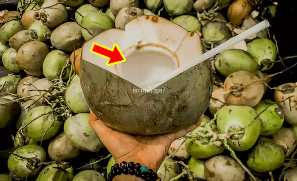 इन ट्रिक्स से करें पता की आपके नारियल में कितना पानी है और कितनी मलाई?