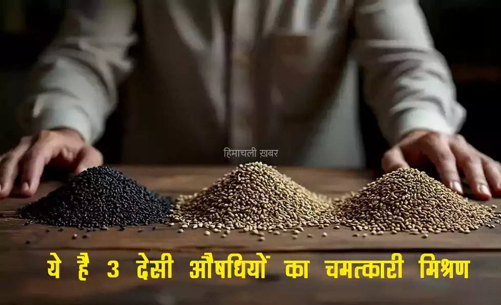 ये है 3 देसी औषधियों का चमत्कारी मिश्रण. 18 गंभीर बीमारियों से मिलेगा छुटकारा बढ़ती उम्र में भी दिखेगा जवानी का जोश