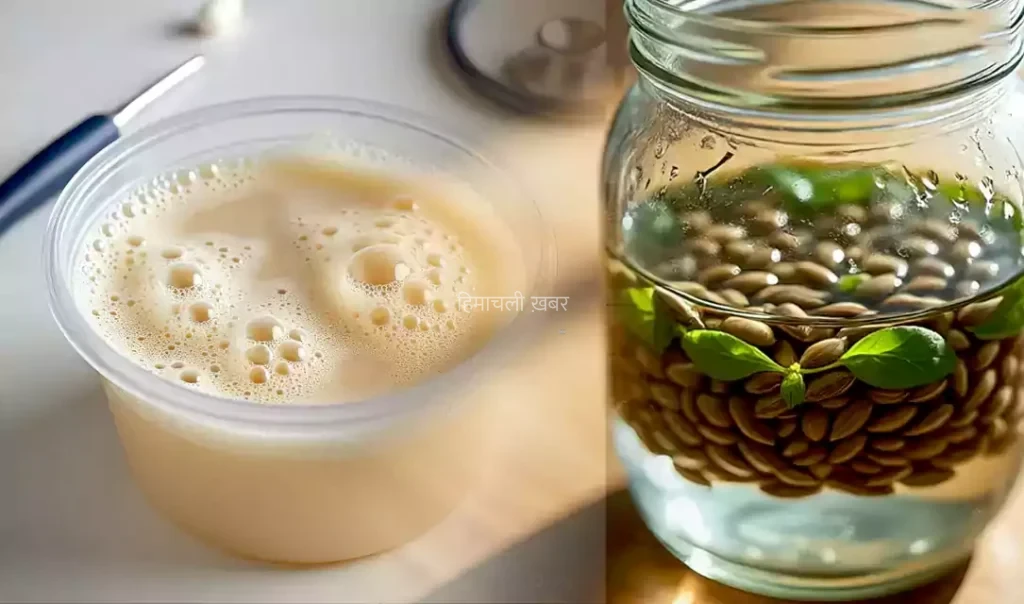 झागदार आ रहा है पेशाब तो इससे बचने के लिए इस बीज के पानी का करें सेवन किडनी के लिए भी है फायदेमंद​​​