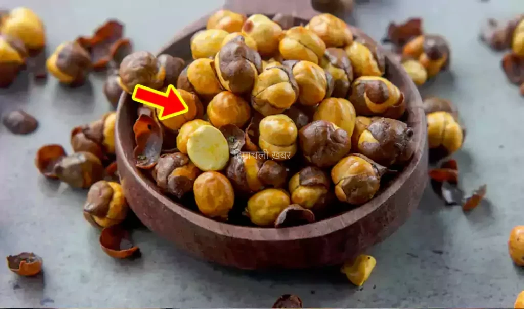 दुबले-पतले शरीर में भरना है मांस तो भुने चने के साथ खा लें ये एक चीज तेजी से बढ़ने लगेगा वजन​​​