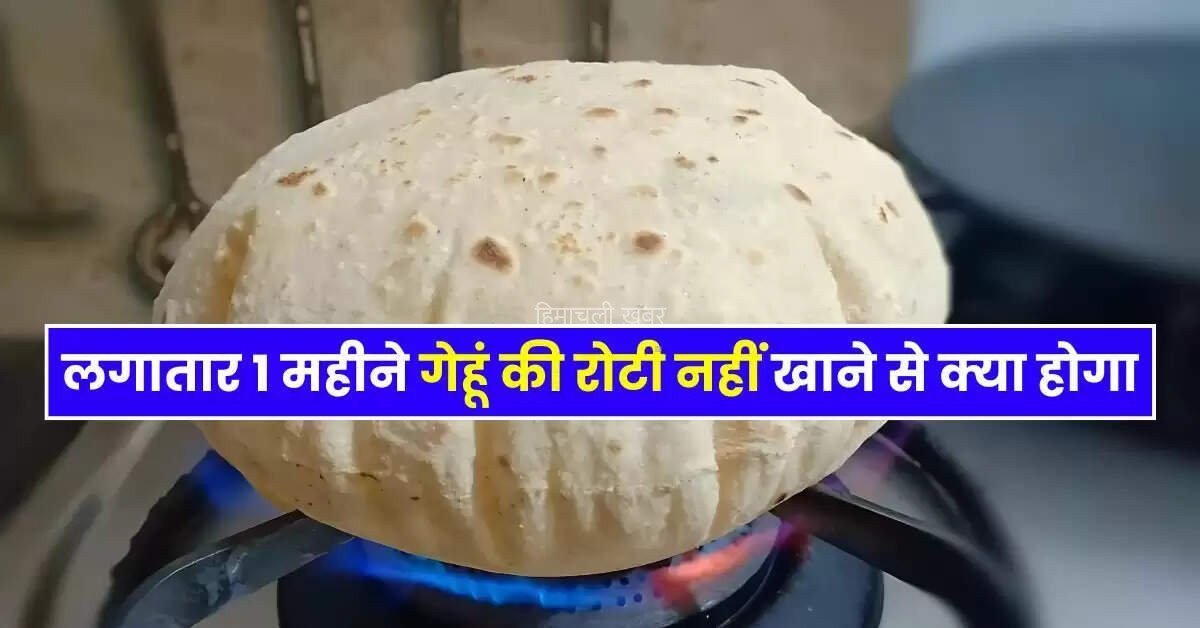 लगातार 1 महीने गेहूं की रोटी नहीं खाने से क्या होगा एक्सपर्ट ने बताई जरूरी बात​​​