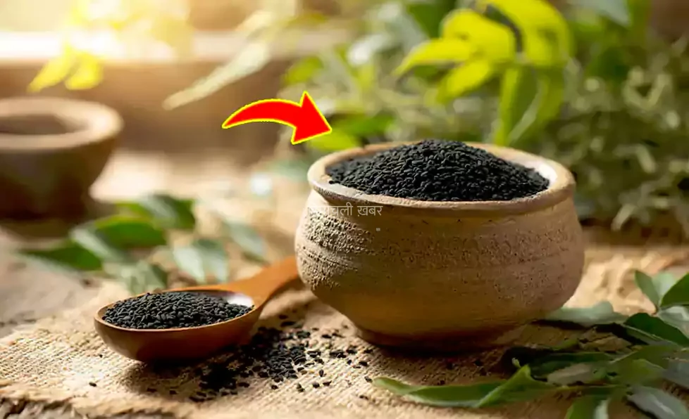 मौत को छोड़ कर हर मर्ज की दवाँ है साधारण सा दिखने वाला कलौंजी, इसके फायदे ऐसे की डॉक्टर भी रह जाते हैं हैरान