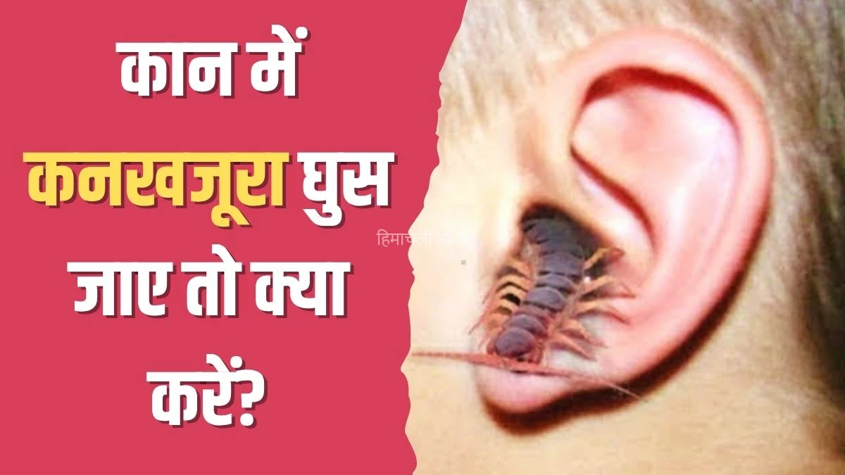 कान में कनखजूरा घुस जाए तो क्या करें? योग गुरु कैलाश बिश्नोई ने बताया इस एक काम को करने पर तुरंत आ जाएगा बाहर
