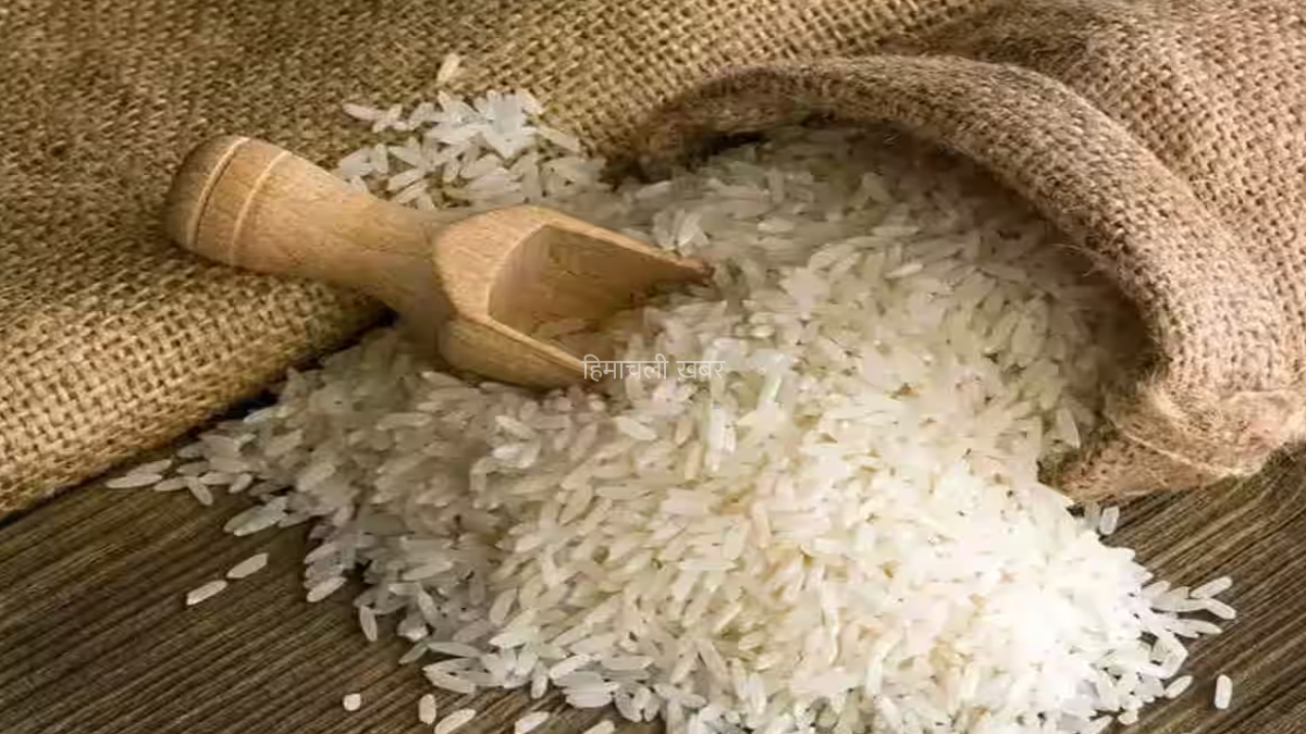 महंगा हुआ चावल: दाम में 15% उछाल, निर्यात में भी तेजी​