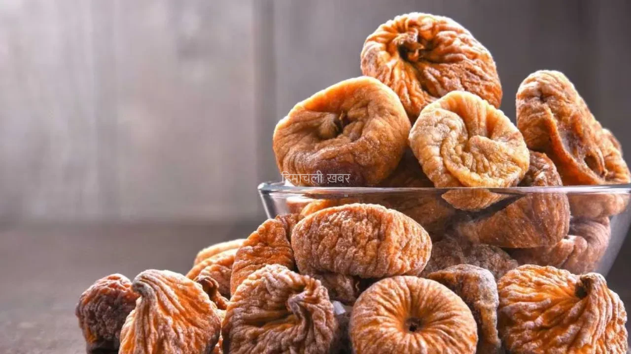 रात में भिगोकर सुबह खा लें 2-3 अंजीर, शरीर को मिल सकते हैं ये कमाल के फायदे; चौथा जानकर रह जाएंगे हैरान