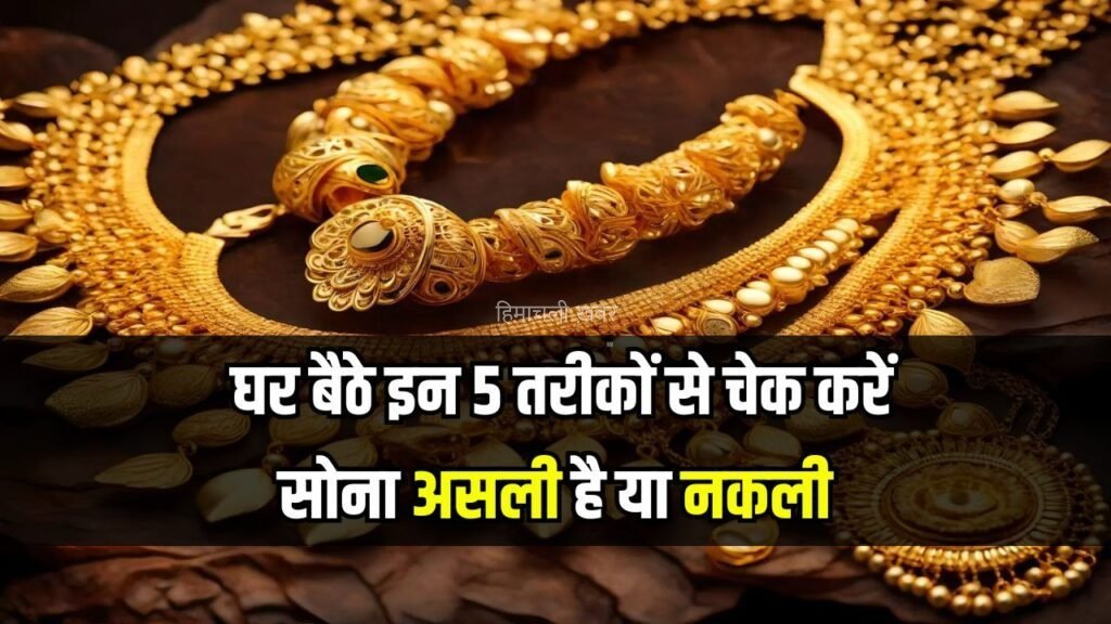 कहीं नकली सोना तो नहीं ले आए? घर बैठे इन 5 तरीकों से करें जांच