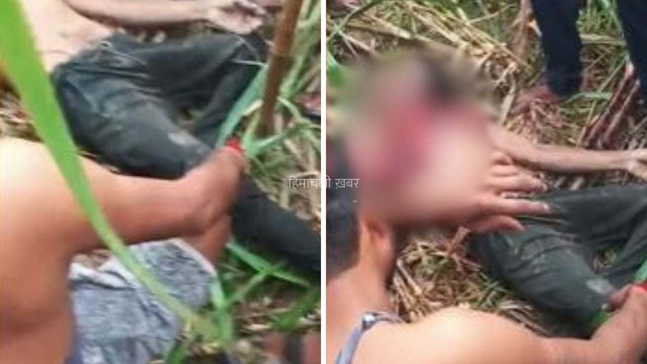 आधी रात को झोपड़ी से दिव्यांग शख्स को घसीटकर ले गया तेंदुआ, अगले दिन मिली लाश… 25 दिन में 4 मौतों सेआक्रोश​