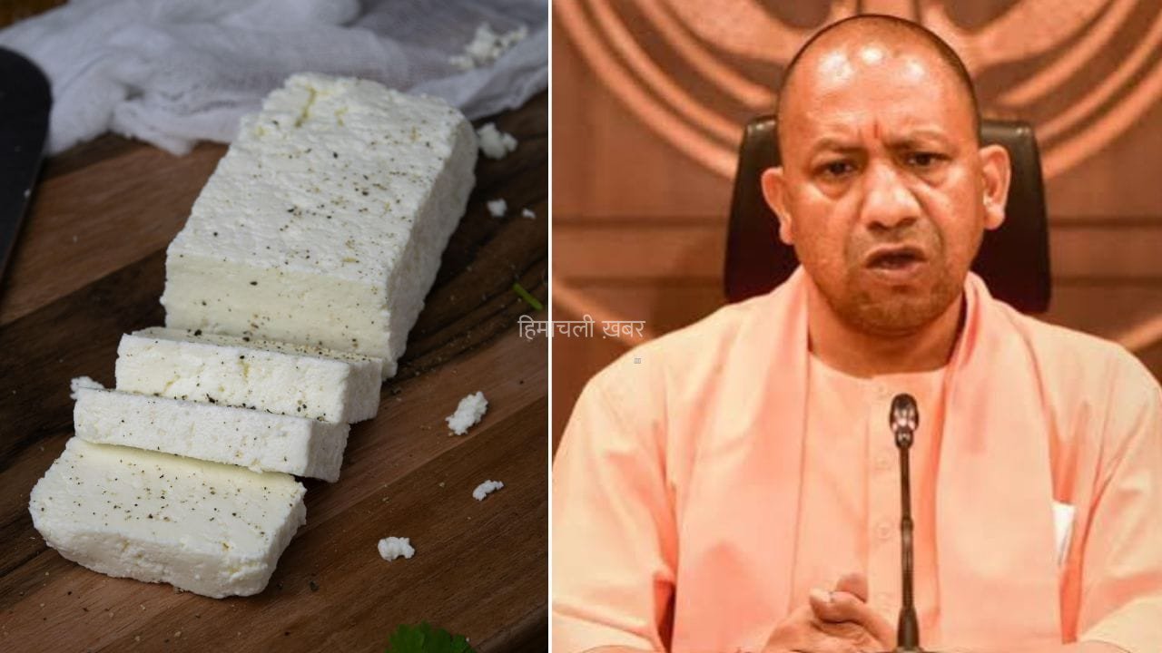 योगी सरकार का बड़ा एक्शन, अब यूपी में भी एनालॉग पनीर समेत क्रीम, घी पर लगा बैन