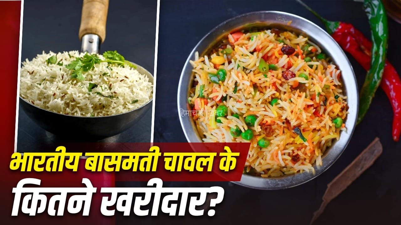 हरियाणा, पंजाब या यूपी, कहां है बासमती चावल का गढ़? सऊदी इनका सबसे बड़ा खरीदार