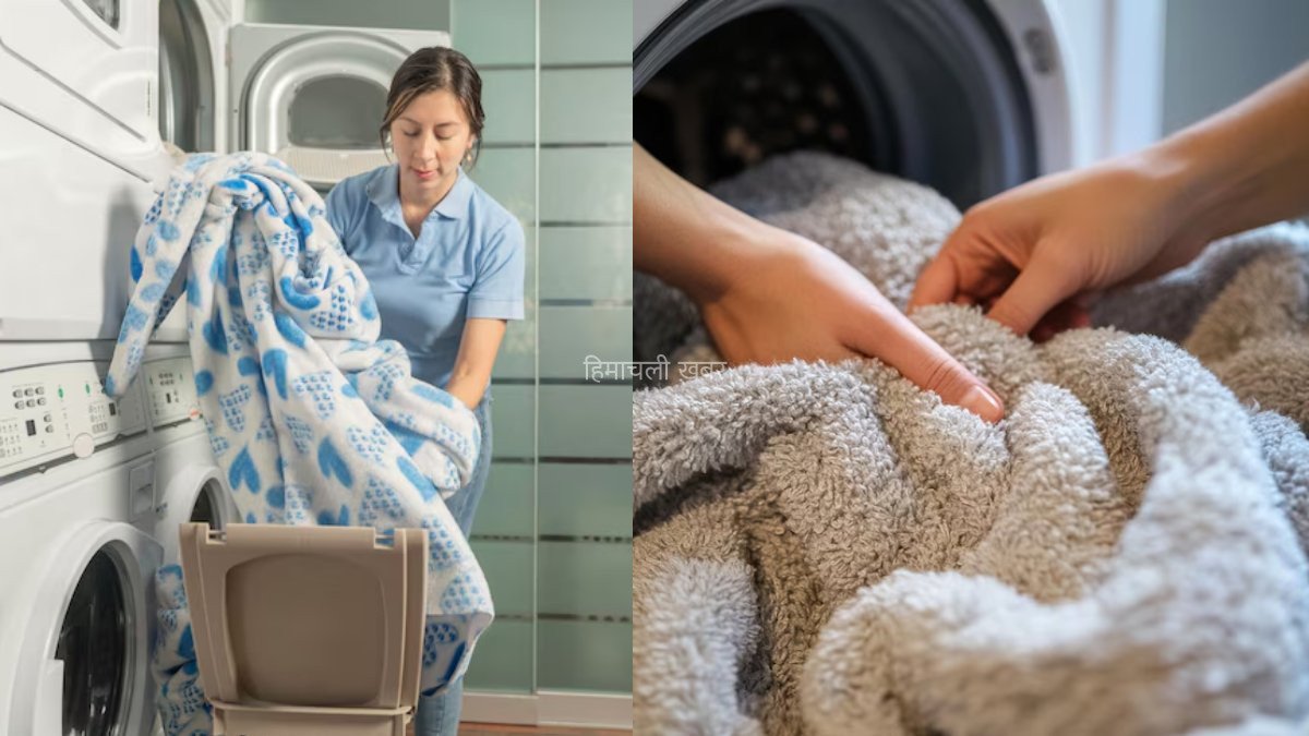 ड्राई क्लीनिंग का खर्चा अब जीरो. सिर्फ 10 रुपये के रीठा से घर पर चमकाएं अपने महंगे स्वेटर