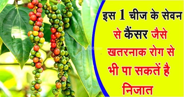 इस एक चीज के सेवन से कैंसर जैसे खतरनाक रोग से भी पा सकते है निजात