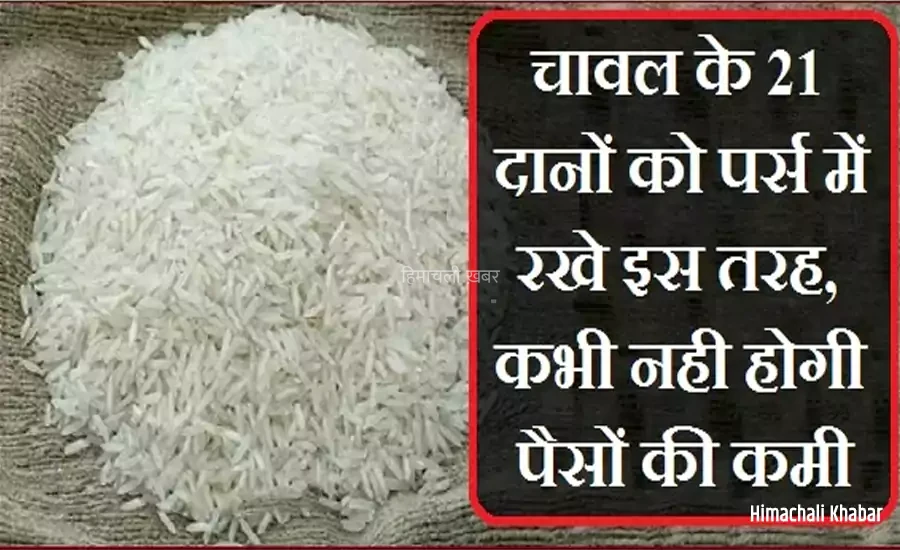 पैसों की तंगी से हो परेशान? चावल के 21 दानों को पर्स में रखे इस तरह, कभी नही होगी पैसों की कमी​​​