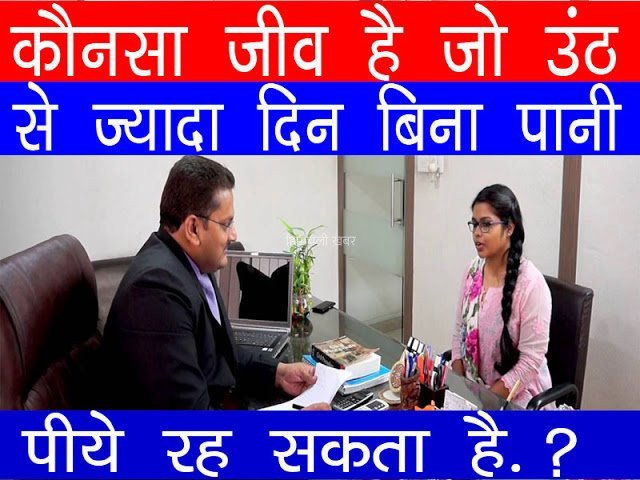 इंटरव्यू में पूछा ऐसा कौन सा जीव है जो ऊँट से भी ज्यादा दिन तक बिना पानी पीये रह सकता है ?​​​