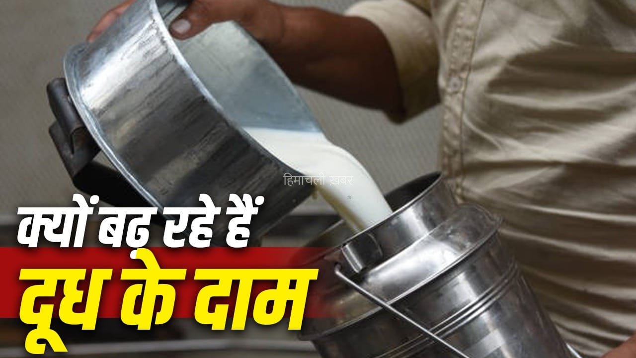 दूध के दाम में फिर बढ़ोतरी, जानें 2 सालों में कितना और कब-कब हुआ है इजाफा​