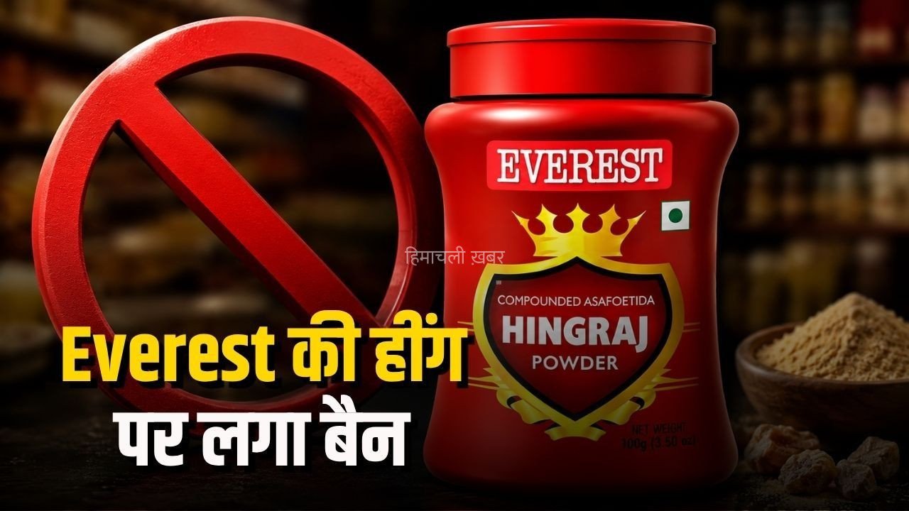 Everest Hing Ban: एवरेस्ट की हींग पर FSSAI का बड़ा एक्शन, जांच में फेल मिले सैंपल, जानें क्या मिली गड़बड़ी​