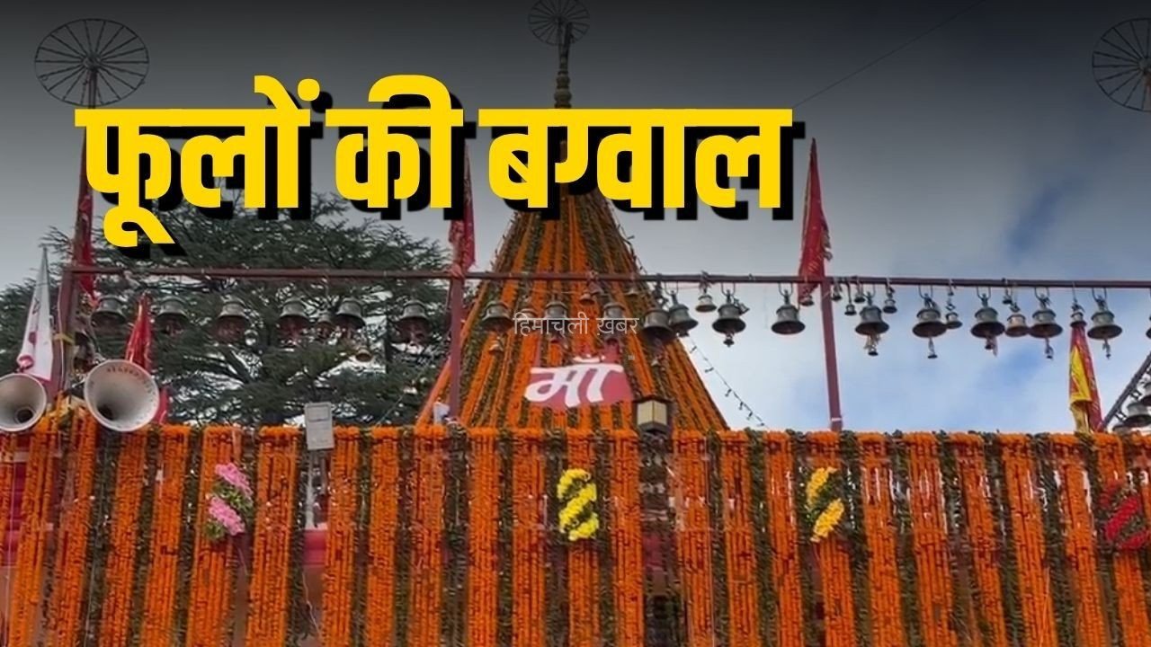 Devdhura Bagwal Mela: देवीधुरा में 8 मिनट तक चली ऐतिहासिक बग्वाल, फलों-फूलों से हुआ पाषाण युद्ध, CM धामी ने किए मां वाराही के दर्शन​