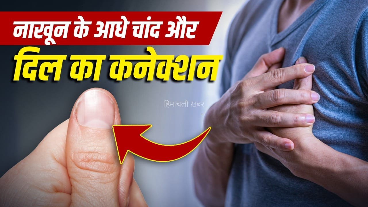 Half Moon in Nails: नाखून में दिखने वाले आधे चांद का हार्ट-किडनी की हेल्थ से कनेक्शन, एक्सपर्ट से जानें​