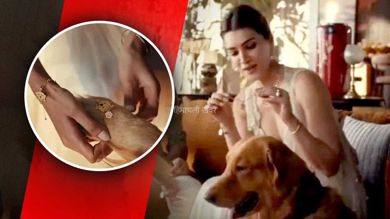 Kriti Sanon Raksha Bandhan Ad: कुत्तों को राखी बांधना धर्म सम्मत है या नहीं? कृति सेनन के एड से मचा बवाल