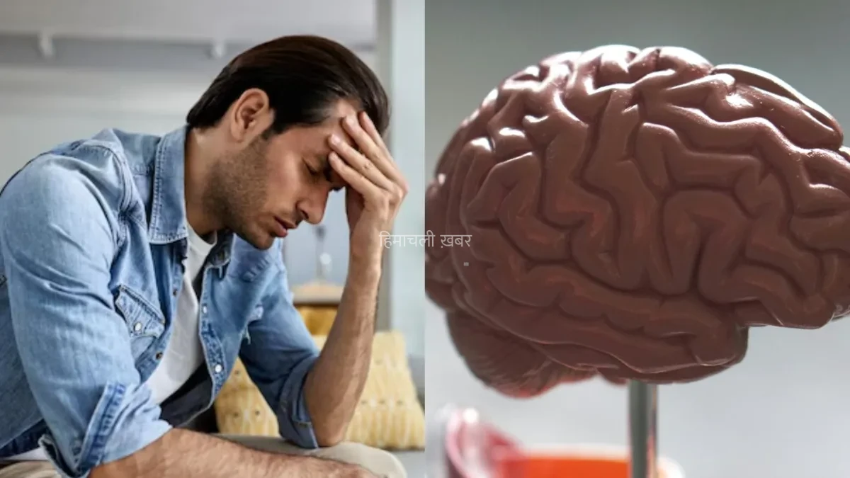 ब्रेन ट्यूमर के इन शुरुआती लक्षणों को न करें नजरअंदाज, एक्सपर्ट से जानें कैसे करें संकेतों की पहचान