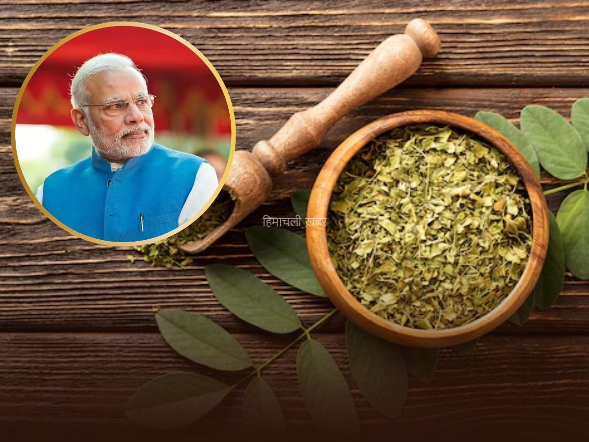 पीएम मोदी को भी पसंद है ये सुपरफूड, डायबिटीज से लेकर पाचन के लिए राममबाण​​​