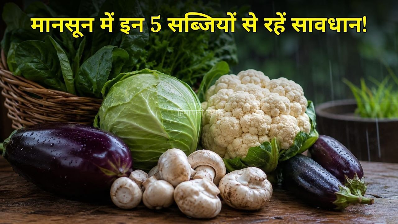 Monsoon Vegetables: बारिश में भूलकर भी न खाएं ये 5 सब्जियां, बढ़ सकता है बीमारियों का खतरा! जानें क्या खाएं?