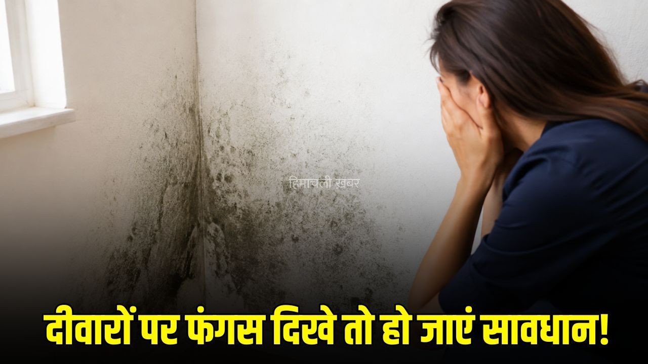 Health Tips: दीवारों पर दिख रही फंगस को न करें नजरअंदाज, सांस और त्वचा से जुड़ी हो सकती हैं दिक्कतें