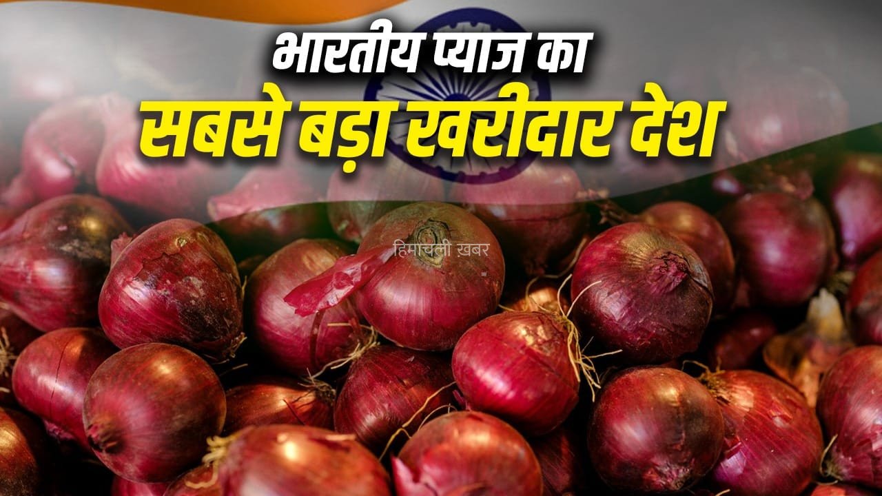 Onion: भारत, चीन या इजिप्ट… सबसे ज्यादा प्याज उगाने वाला देश कौन? बढ़ती कीमतें बना रहीं रिकॉर्ड