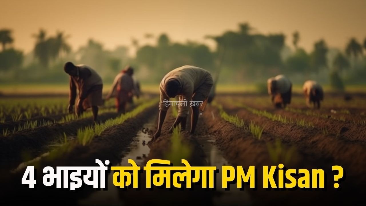PM Kisan: 4 भाइयों के नाम है जमीन तो क्या सभी को मिलेगा ₹6,000 का लाभ? जानें क्या कहता है PM Kisan का नियम​