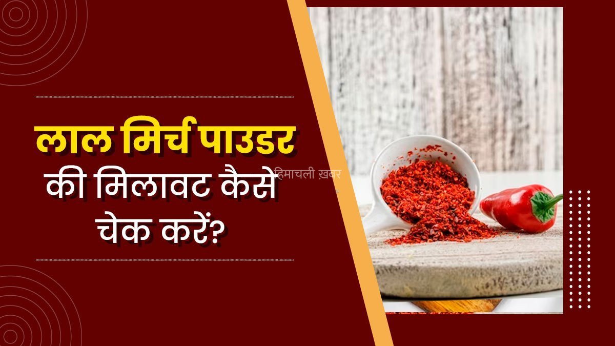 आपका लाल मिर्च पाउडर कितना शुद्ध है? कहीं उसमें ईंट का चुरा तो नहीं मिला? ऐसे पता लगाएं