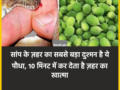 सांप के ज़हर का सबसे बड़ा दुश्मन है ये पौधा, 10 मिनट में कर देता है ज़हर का खात्मा
