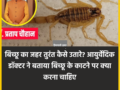 ​​बिच्छू का जहर तुरंत कैसे उतारे? आयुर्वेदिक डॉक्टर ने बताया बिच्छू के काटने पर क्या करना चाहिए