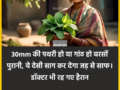 30mm की पथरी हो या गांठ हो बरसों पुरानी, ये देसी साग कर देगा जड़ से साफ। डॉक्टर भी रह गए हैरान