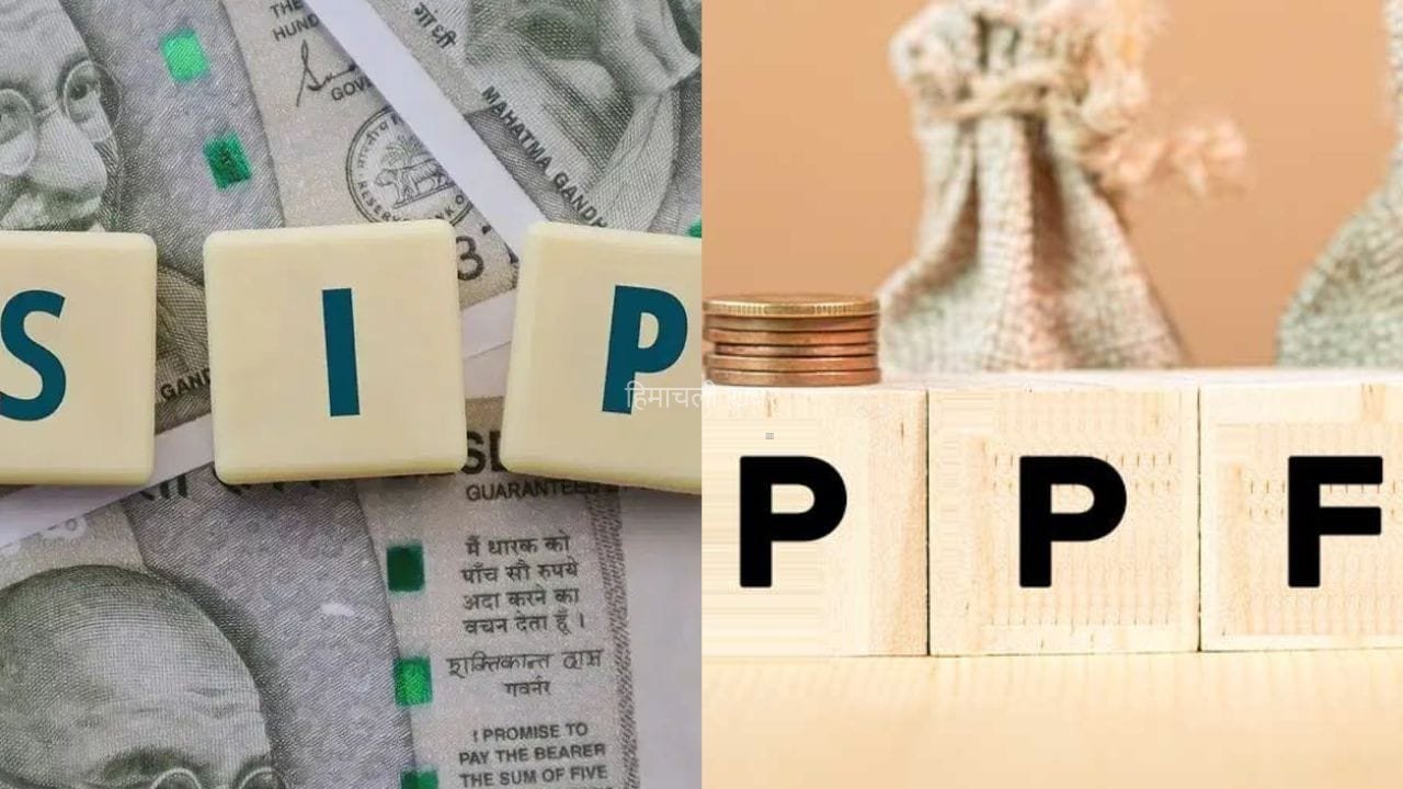 PPF या SIP: 15 साल तक हर महीने पैसे जमा करने पर कहां मिलेगा मोटा मुनाफा? देखें कैलकुलेशन​