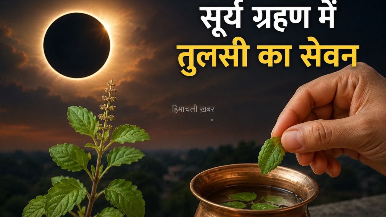 Solar Eclipse 2026: ग्रहण लगा तो खाने में डाल दी तुलसी! जानें इस हरे पत्ते के सेहत को फायदे​