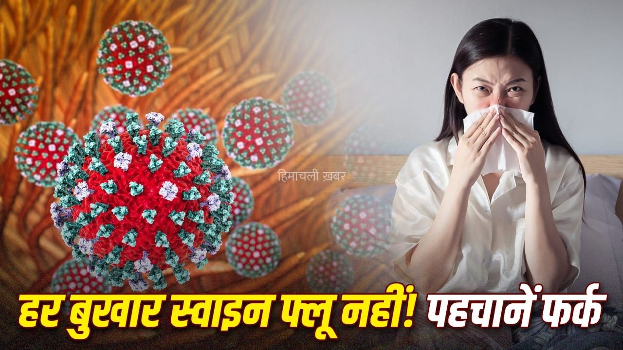 स्वाइन फ्लू हुआ है या ये सिर्फ वायरल फीवर है? कैसे पहचानें? एक्सपर्ट ने बताया​
