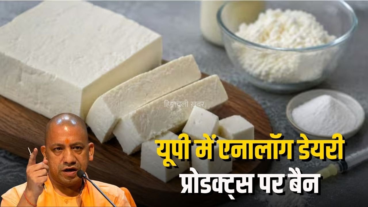 UP Analog Paneer Ban: UP में एनालॉग डेयरी प्रोडक्ट्स पर पूरी तरह बैन, पनीर-क्रीम-घी समेत इन उत्पादों की बिक्री और निर्माण पर रोक​