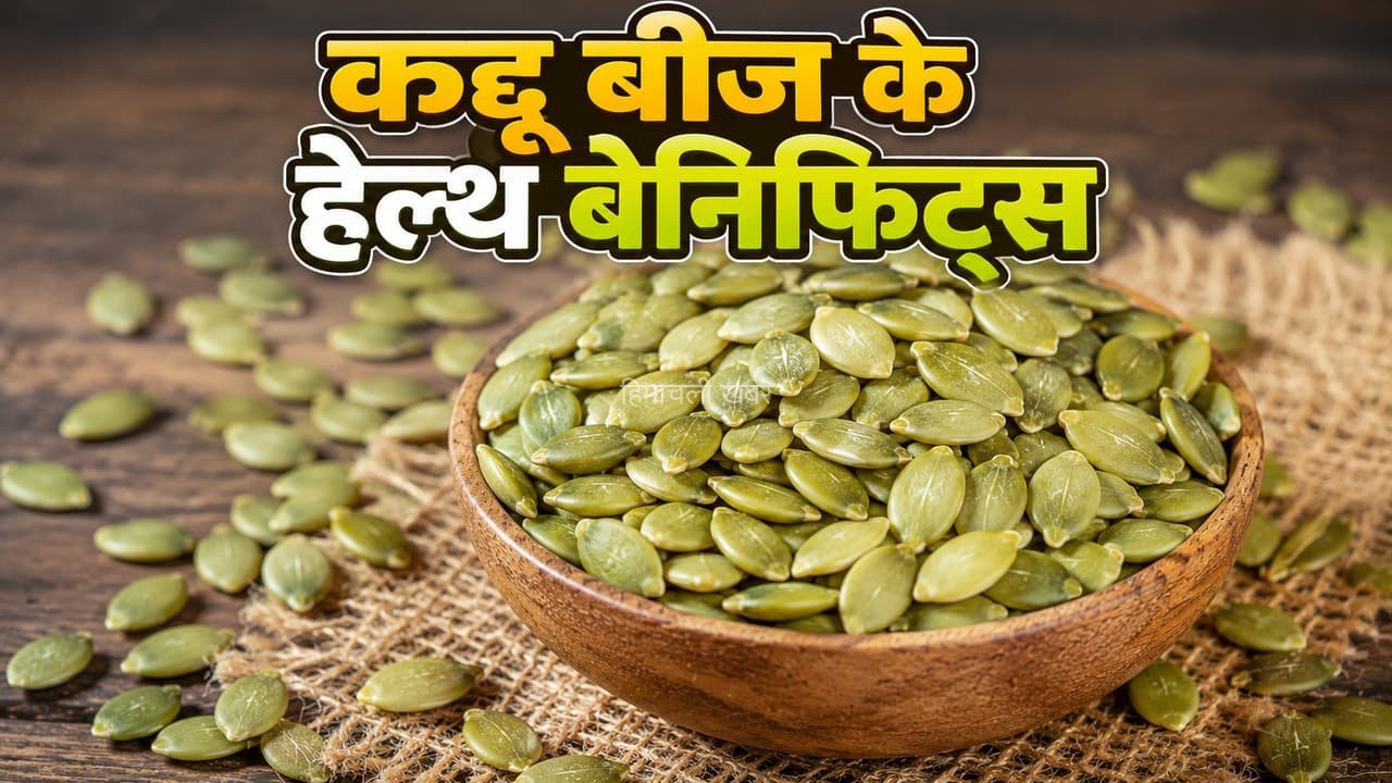 Pumpkin Seeds Benefits: इम्यूनिटी बढ़ाने से ब्लड प्रेशर कंट्रोल तक, जानें हरे बीज के 5 फायदे