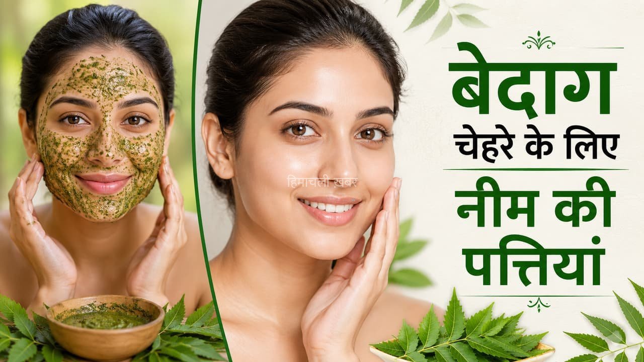 ताजी नीम की पत्तियों को 3 तरह से त्वचा में करें इस्तेमाल, गर्मियों में बेदाग दिखेगा चेहरा​​​