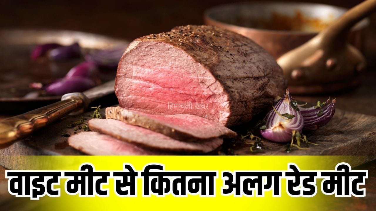 रेड मीट में क्या-क्या आता है? जानें क्या होती है इसकी न्यूट्रिशन वैल्यू​